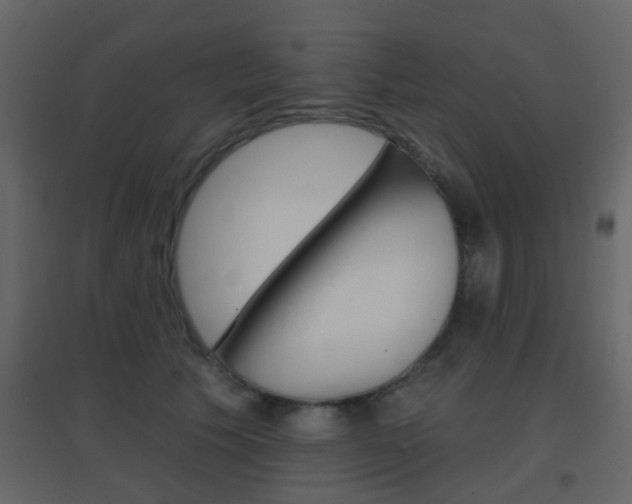X0000096690609200802051039