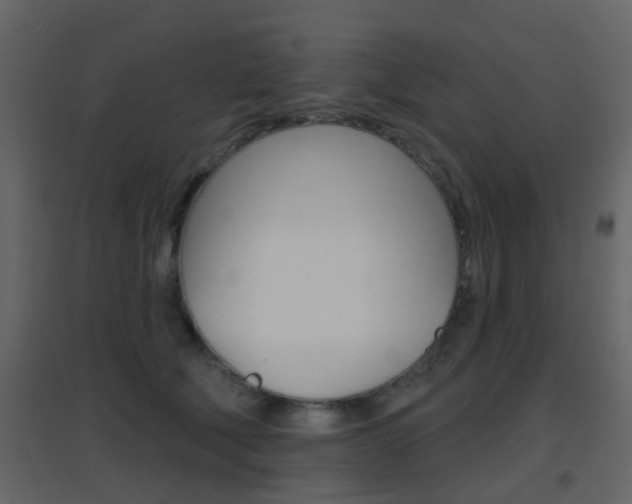 X0000096690610200802051039