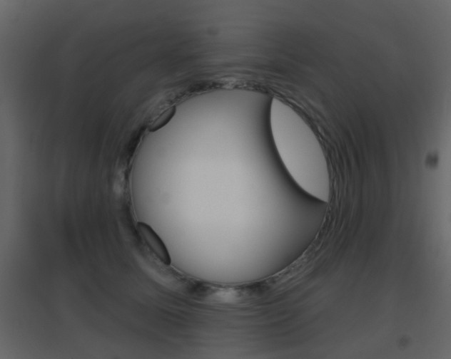 X0000096690611200802051039