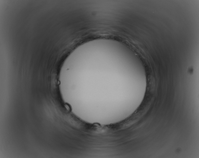 X0000096690612200802051039