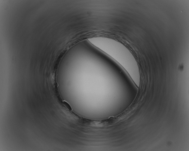 X0000096690613200802051039