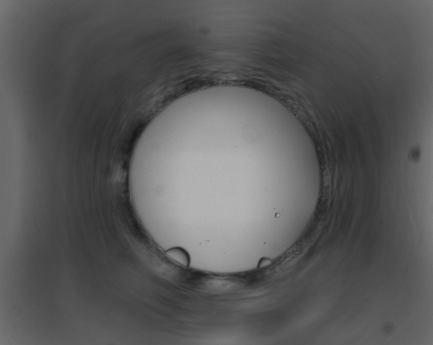 X0000096690614200802051039