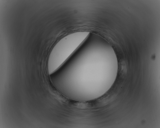 X0000096690615200802051039