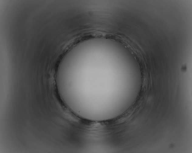 X0000096690616200802051039