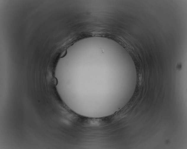 X0000096690618200802051039