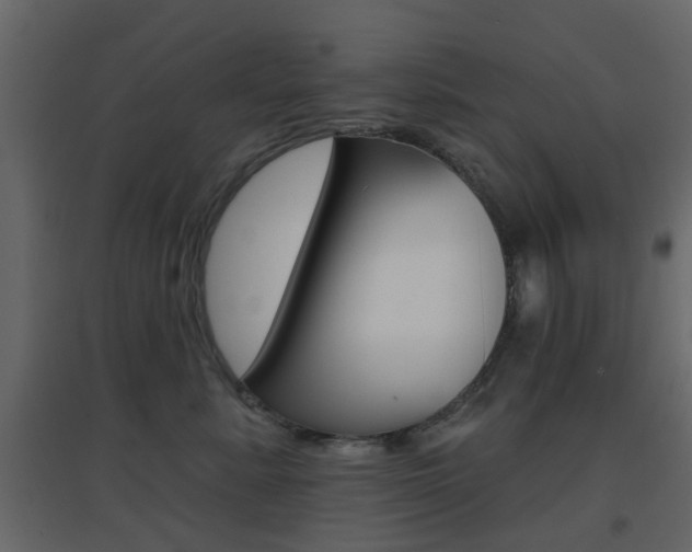X0000096690619200802051039