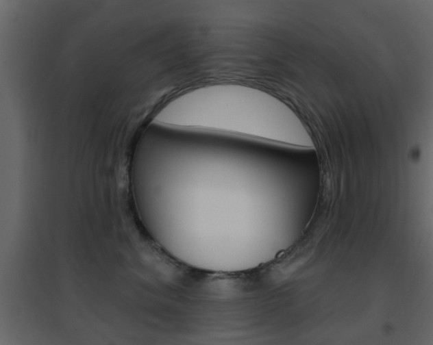X0000096690620200802051039