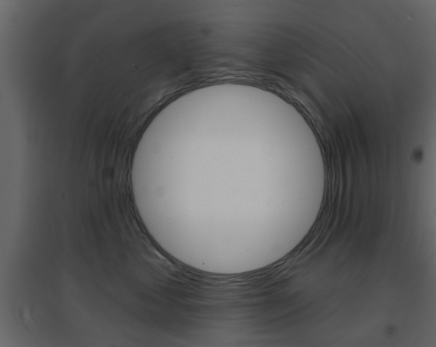 X0000096690621200802051038