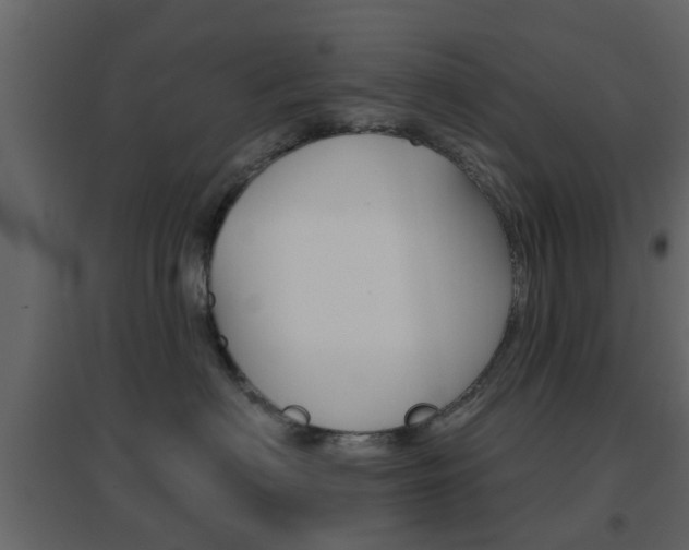 X0000096690622200802051038
