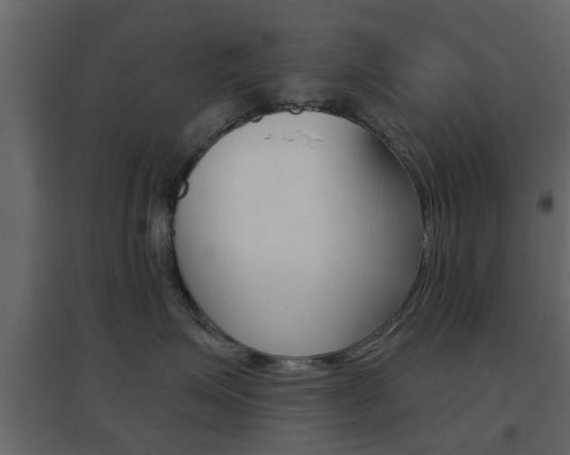 X0000096690623200802051038