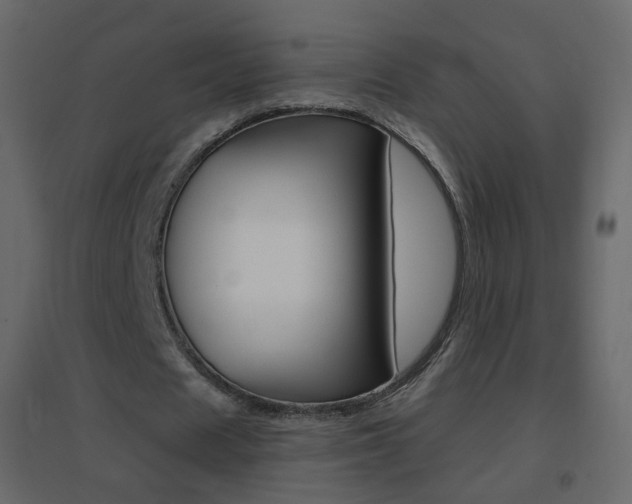 X0000096690625200802051038