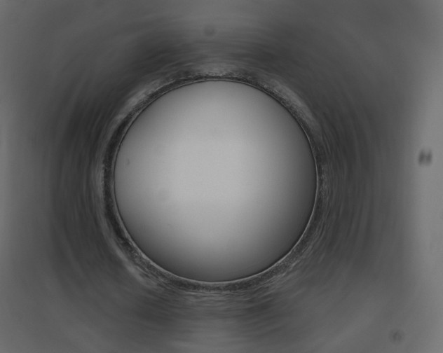 X0000096690626200802051038