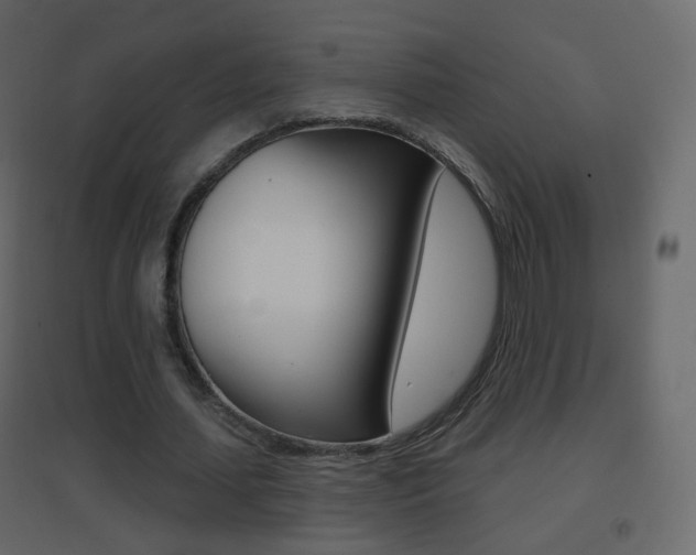 X0000096690627200802051038