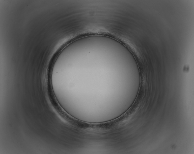 X0000096690630200802051038