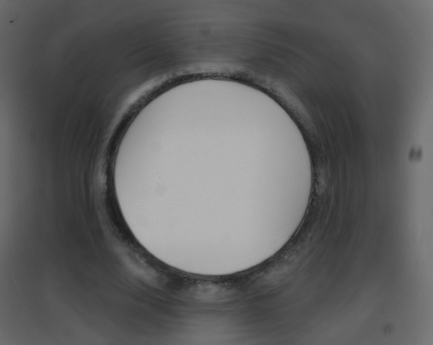 X0000096690632200802051038