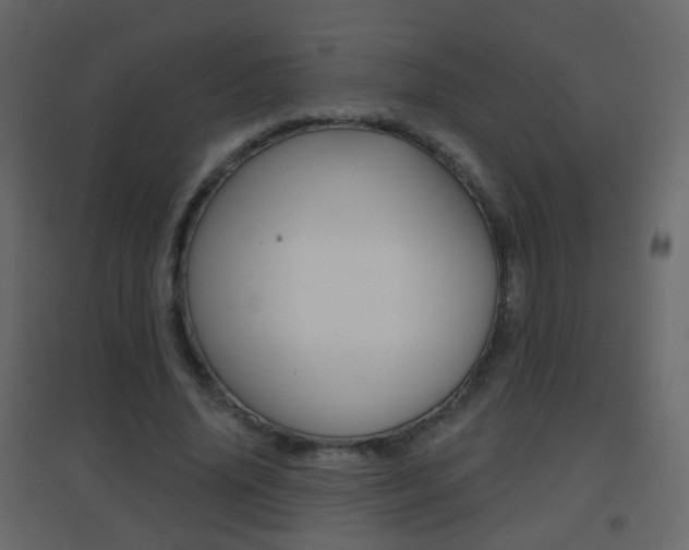 X0000096690636200802051038
