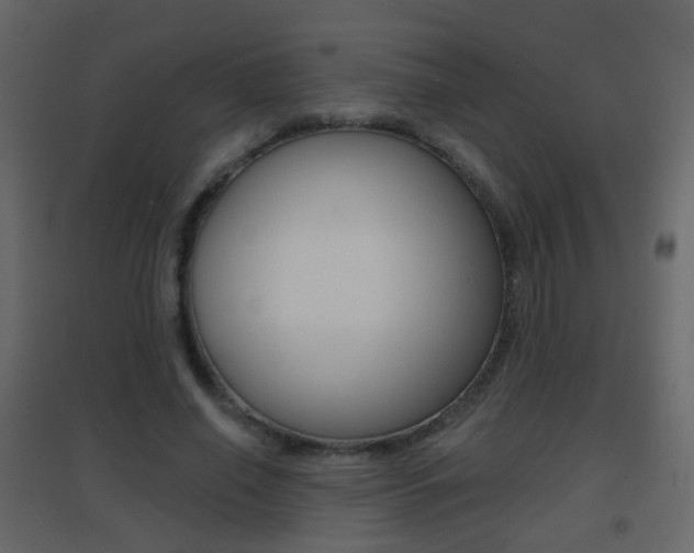 X0000096690638200802051038