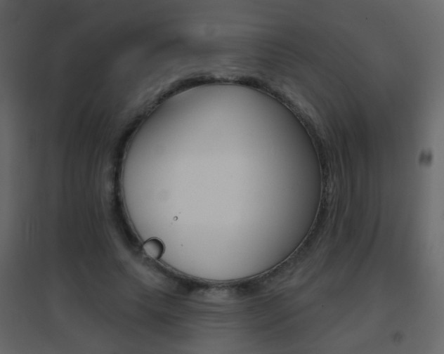 X0000096690639200802051038