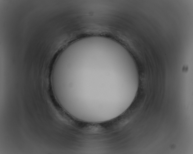 X0000096690642200802051038