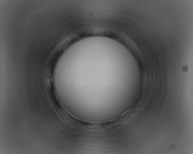 X0000096690644200802051038