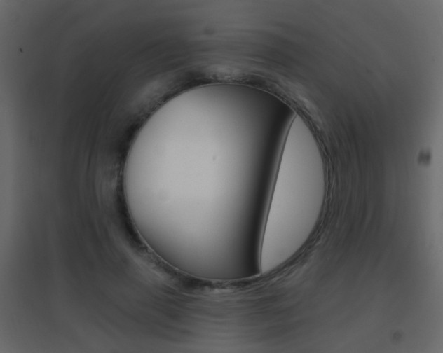 X0000096690645200802051038