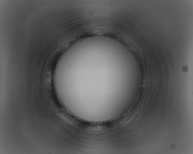 X0000096690646200802051038