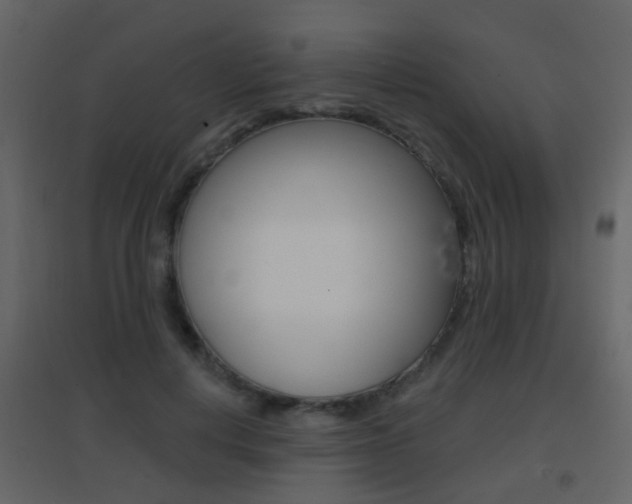 X0000096690648200802051038