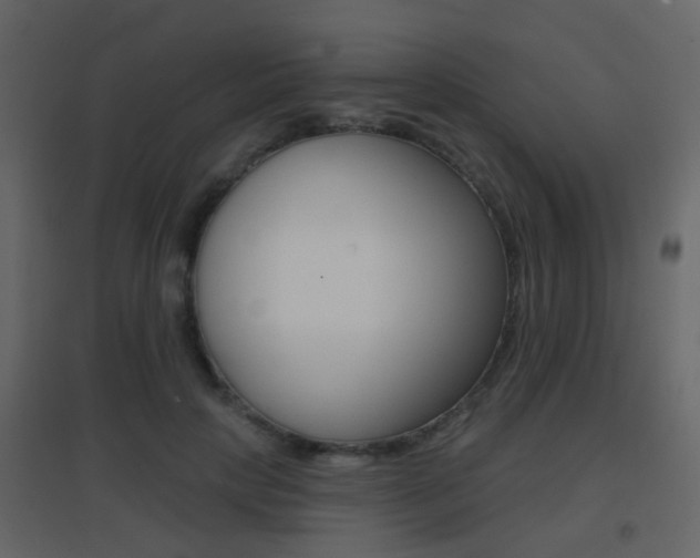X0000096690649200802051038