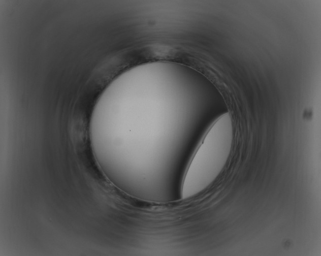 X0000096690651200802051038