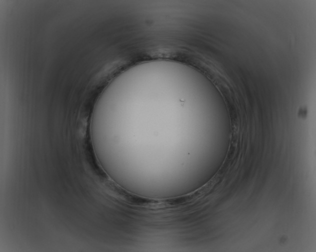 X0000096690652200802051038