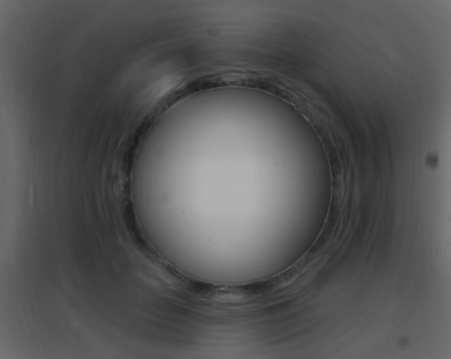 X0000096690653200802051038