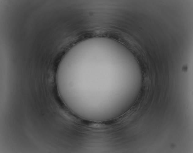 X0000096690654200802051038