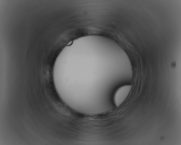 X0000096690655200802051038