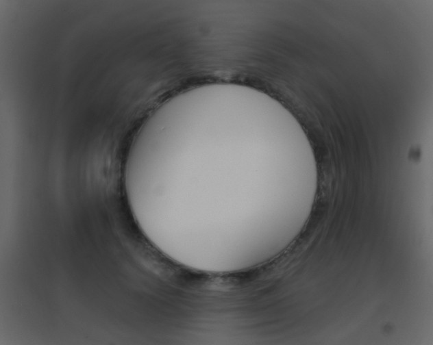 X0000096690656200802051038