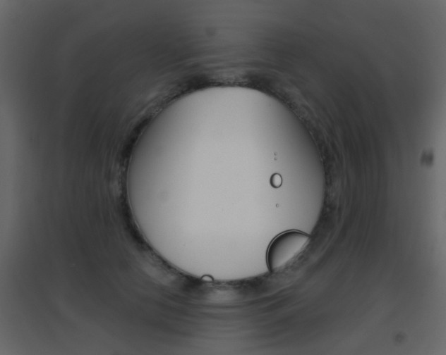 X0000096690658200802051038