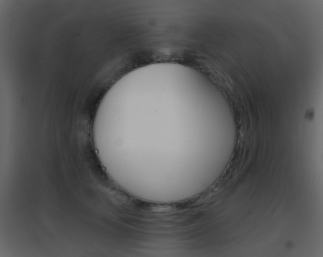 X0000096690659200802051038
