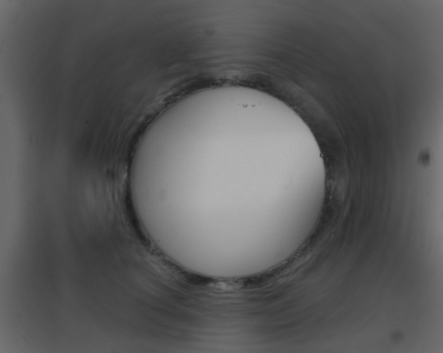 X0000096690660200802051038