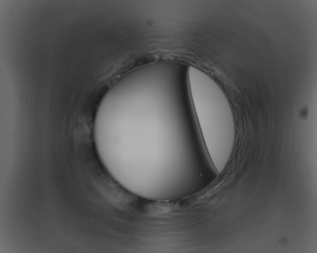 X0000096690661200802051038