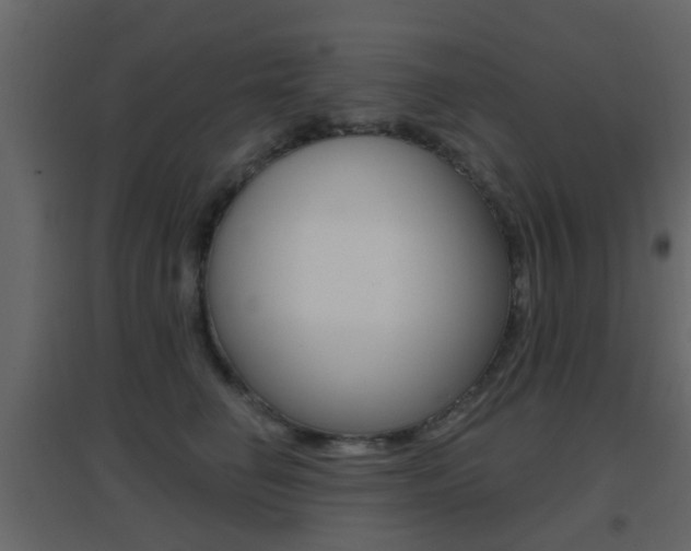 X0000096690662200802051038