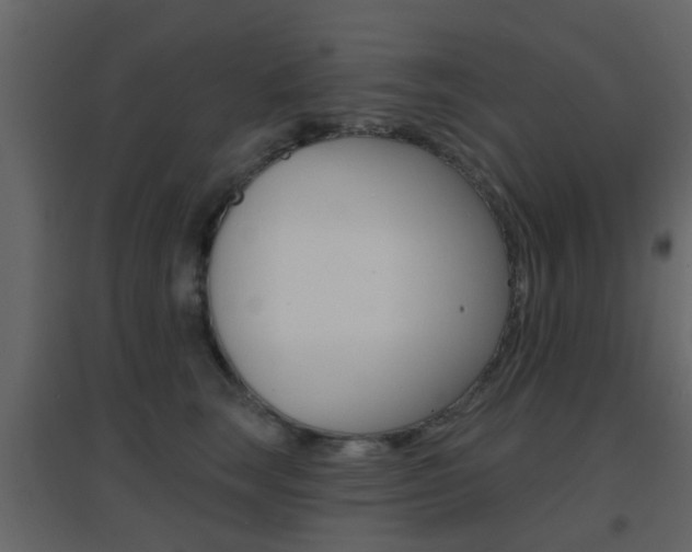 X0000096690663200802051038