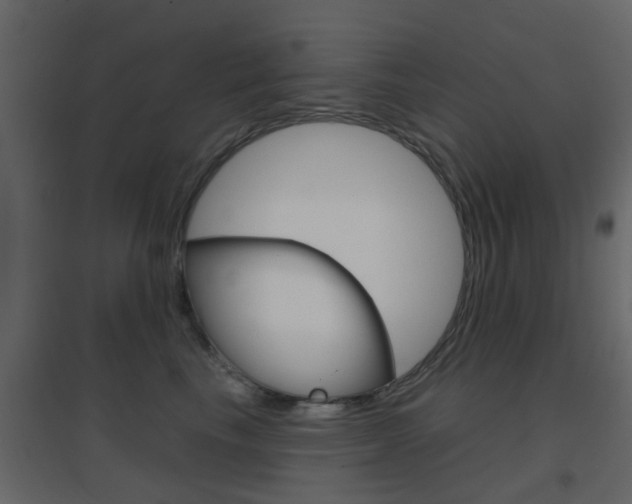 X0000096690665200802051038