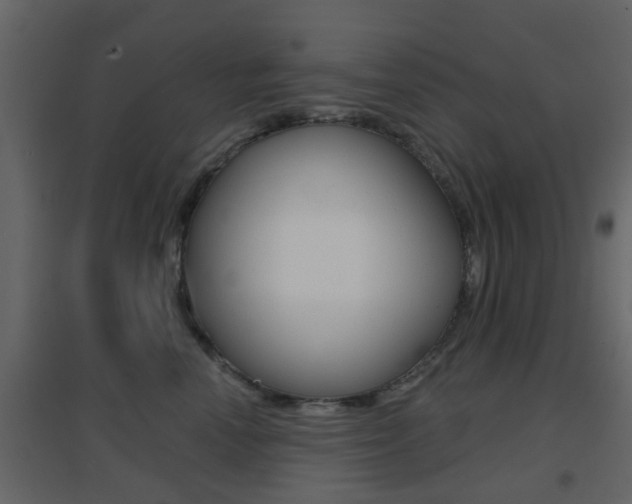 X0000096690666200802051038