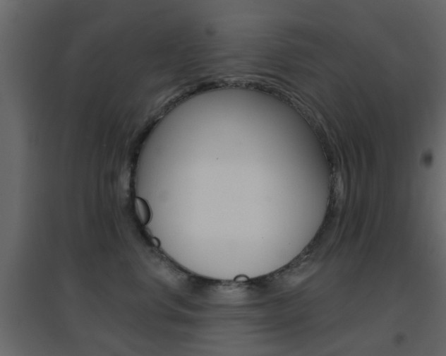 X0000096690668200802051038