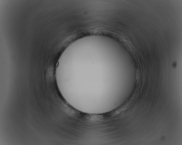 X0000096690670200802051038