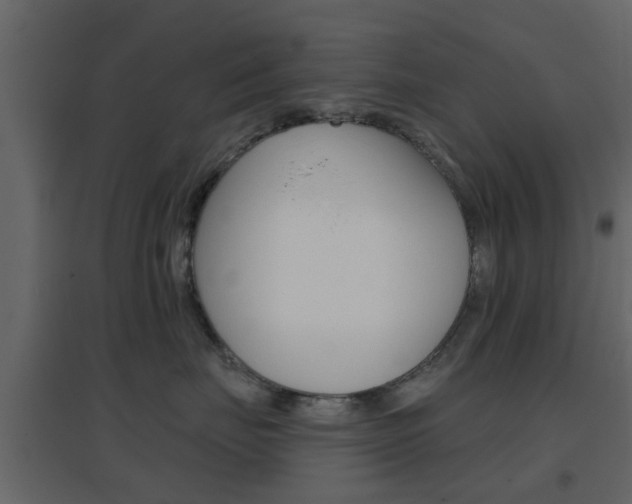 X0000096690671200802051038
