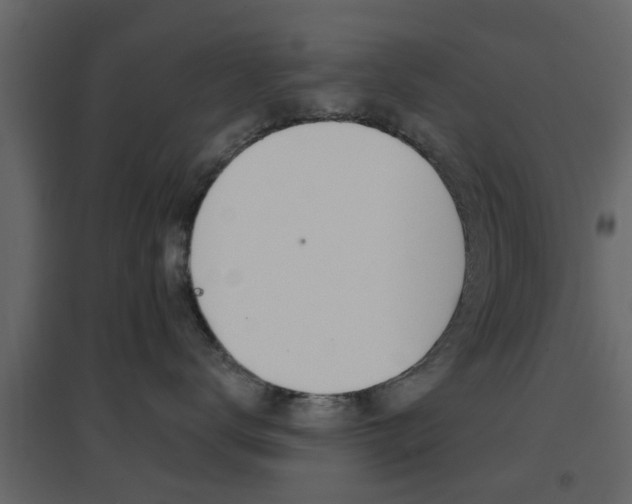 X0000096690672200802051038