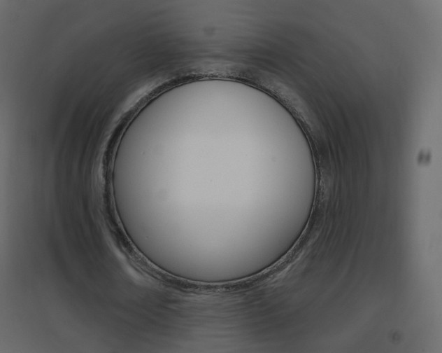 X0000096690674200802051038