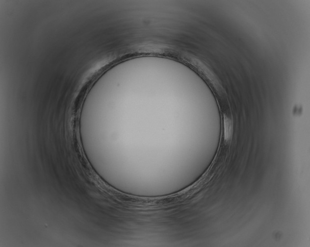 X0000096690675200802051038