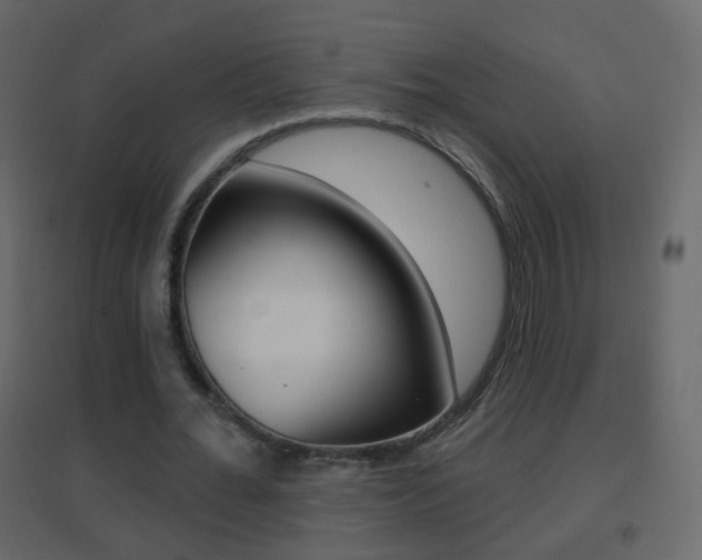 X0000096690676200802051038