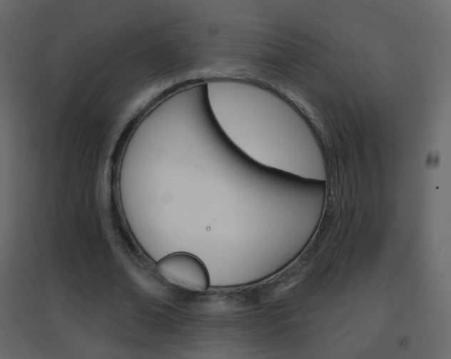 X0000096690678200802051038